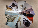 Mystery Photo Bags