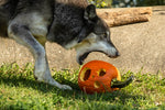 Fall Festival Week Pass
