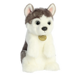 Sitting Pretty Wolf