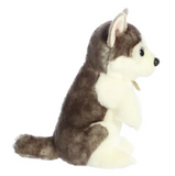 Sitting Pretty Wolf