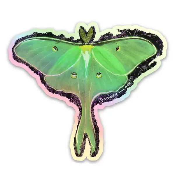 Holographic Luna Moth Sticker