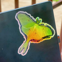 Holographic Luna Moth Sticker