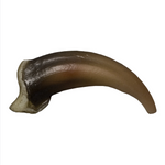 Replica Wolf Claw