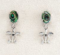 Earth Turtle Earrings