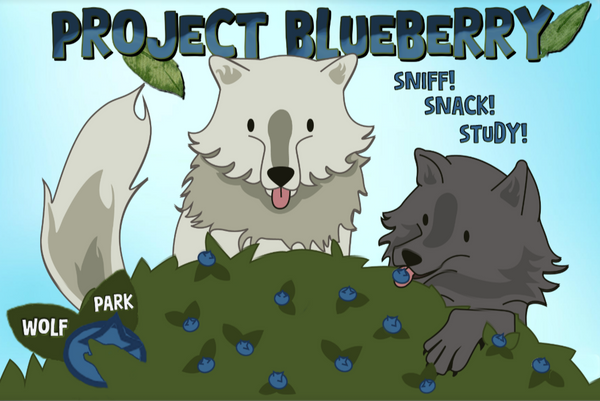 Project Blueberry Sticker: Timber & Niko