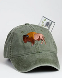 ECO Embroidered Baseball Caps