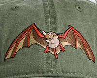 ECO Embroidered Baseball Caps