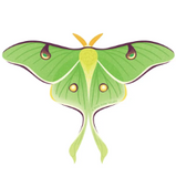 Protect Native Species Stickers