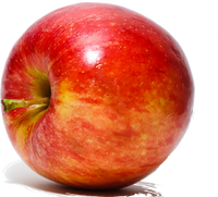 FF Add-On: Apple Slingshot