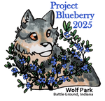 Project Blueberry Sticker