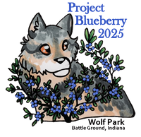 Project Blueberry Sticker