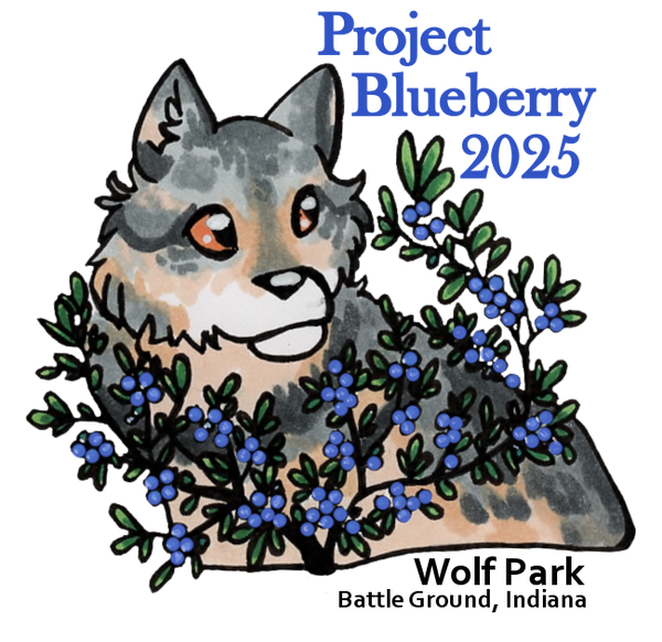 Project Blueberry Sticker