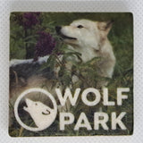 Wolf Tile Magnets