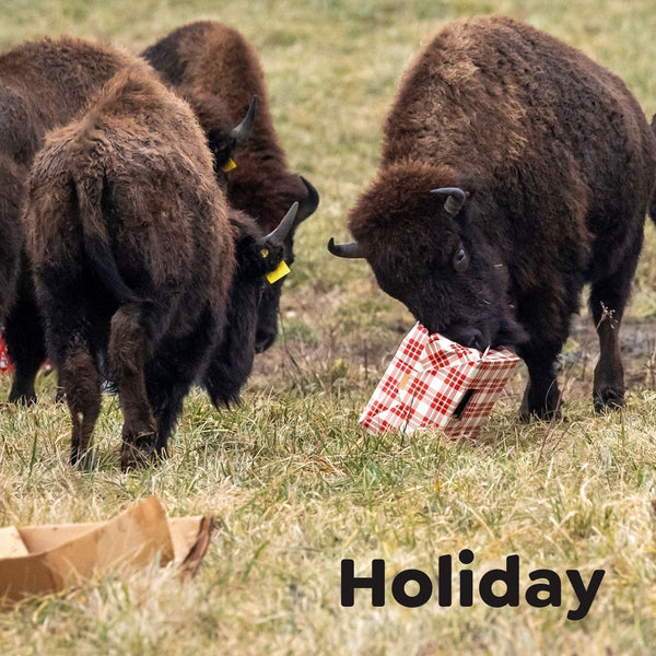 Ambassador Photos From Seasonal Events