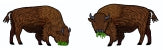 Bison Earrings