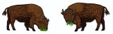 Bison Earrings