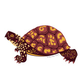 Protect Native Species Stickers