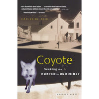 Coyote Seeking the Hunter in Our Midst