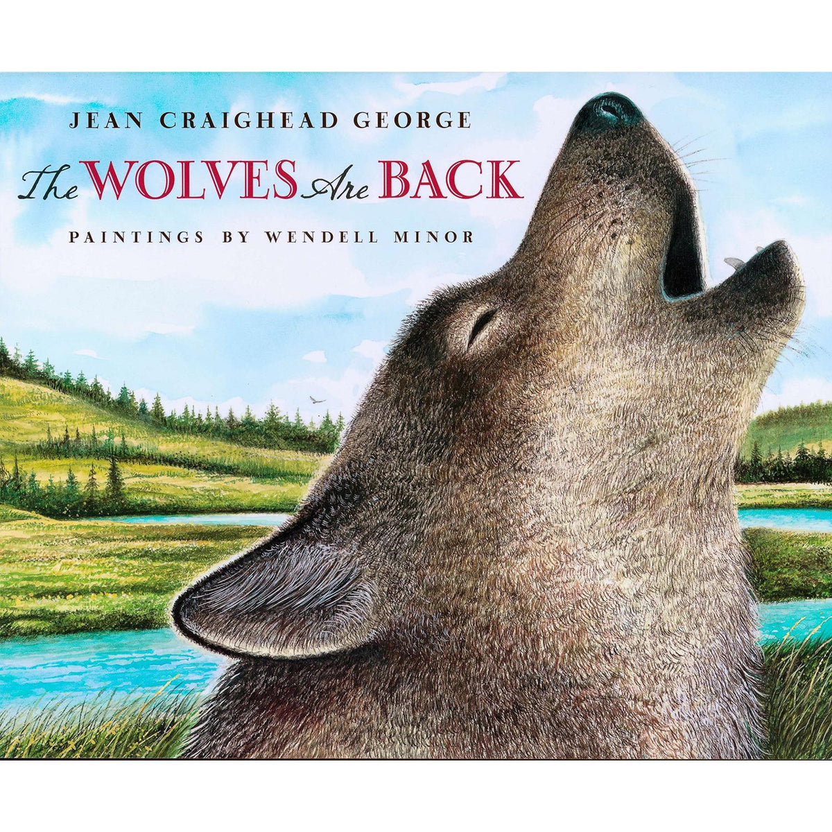 The Wolves are Back – Wolf Park